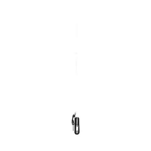 Saint Laurent Paris Lanyard Wallet