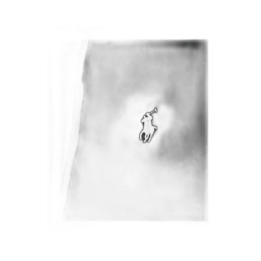 Polo Ralph Lauren Logo Embroidered Zipped Hoodie
