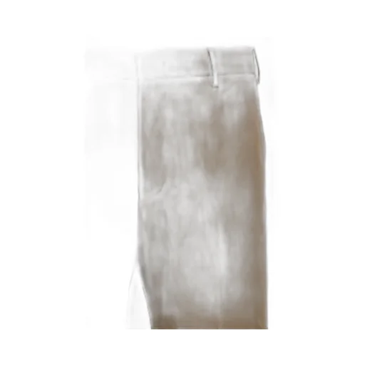 Pt Torino Tailored Trousers