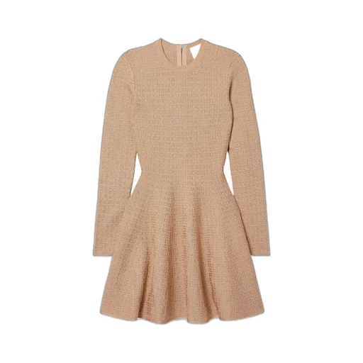 Long-Sleeved Dress