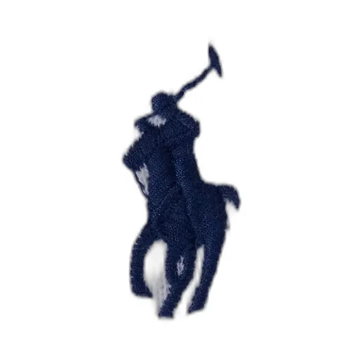 Polo Ralph Lauren Pony Embroidered Drawstring Hoodie