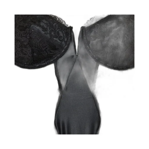 Wired-Cup Sheer Lace Bodysuit