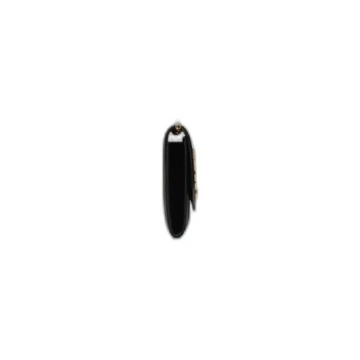 Saint Laurent Updown Chain Wallet