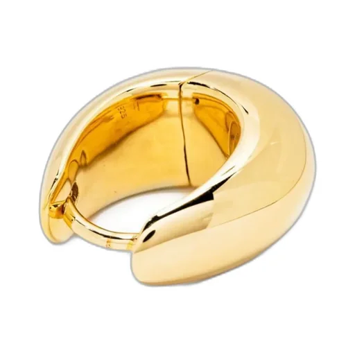 Ring Earring