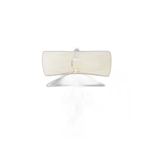 Magda Butrym Halterneck Bandeau Top