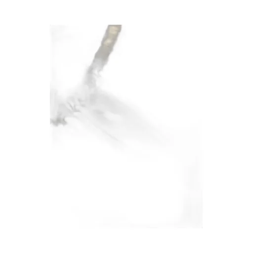 Magda Butrym Halterneck Bandeau Top