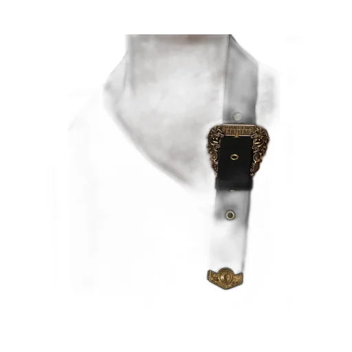 Baroque-Buckle Cropped Top