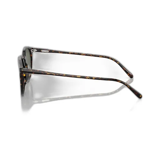 Round Frame Sunglasses