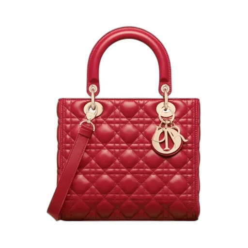 Medium Lady Dior Bag