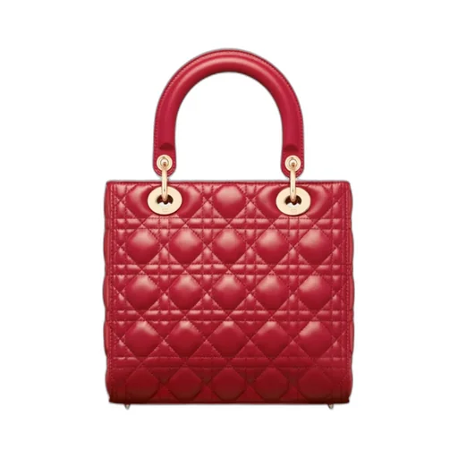 Medium Lady Dior Bag