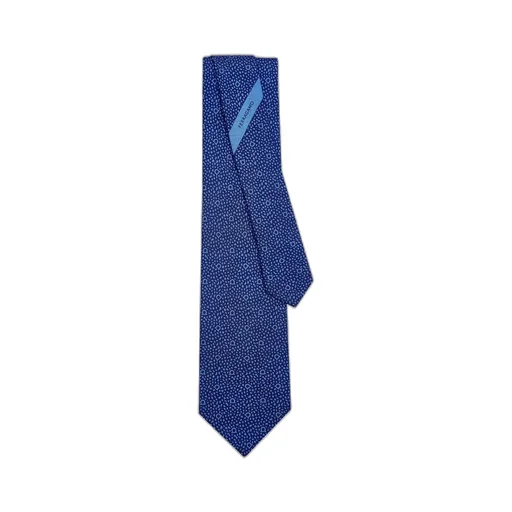 Salvatore Ferragamo Micro Pattern Printed Tie
