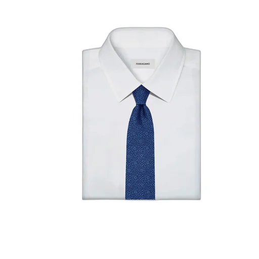 Salvatore Ferragamo Micro Pattern Printed Tie