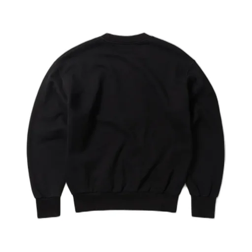 Aries Logo Printed Crewneck Sweatshirt
