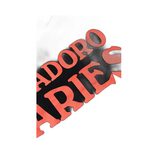 Aries Logo Printed Crewneck Sweatshirt