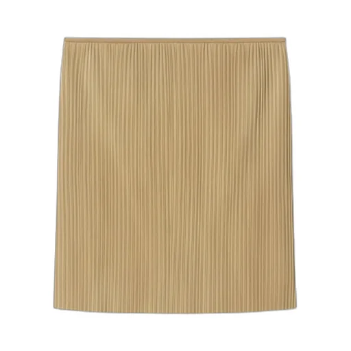 Ymke Pleated Miniskirt