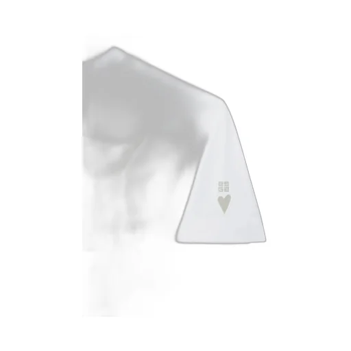 Oversized T-Shirt In Cotton With Givenchy Horse Print