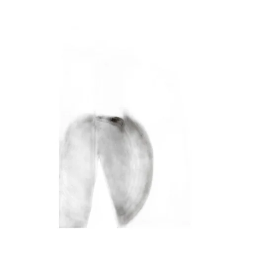 Off-White Relax Round Straight Leg Jeans