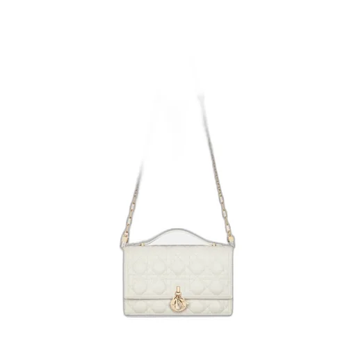 Miss Dior Top Handle Bag