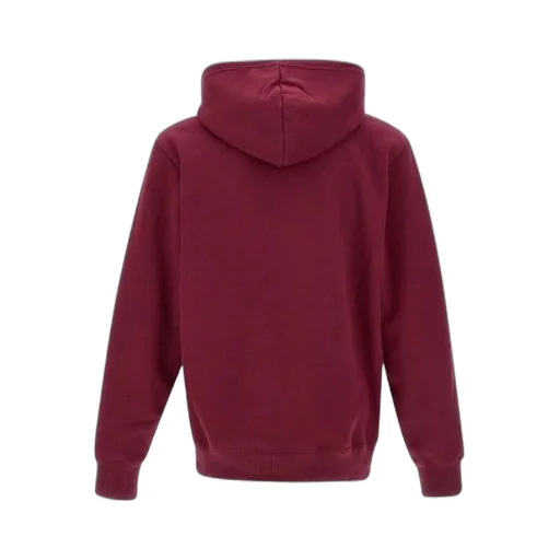 The North Face Logo Printed Drawstring Hoodie
