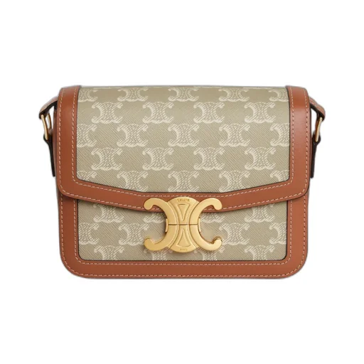 Teen Triomphe Bag In Triomphe Canvas And Calfskin