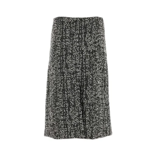 Lanvin Two-Toned Midi Skirt
