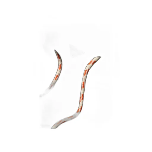 Aries Mini Problemo Drawstring Hoodie