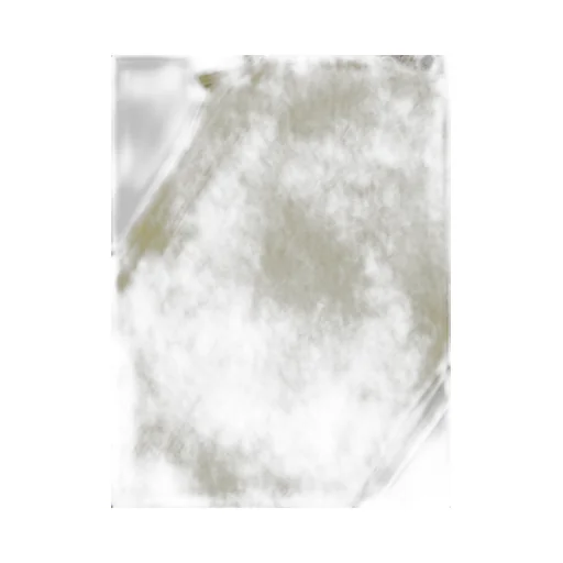 Organic Cotton Raw Edge Tank Top