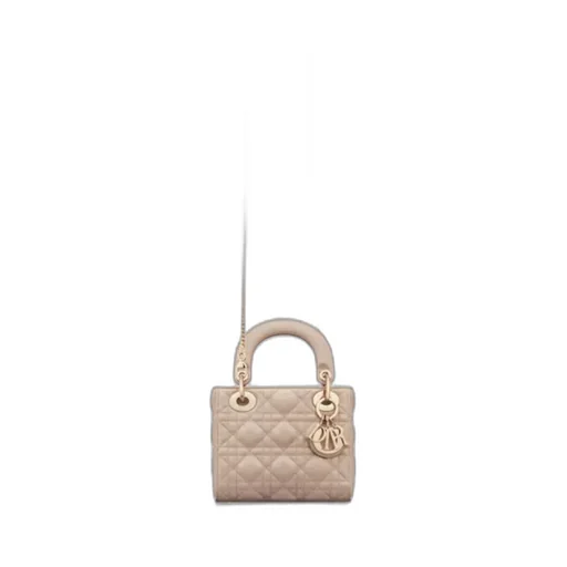 Mini Lady Dior Bag