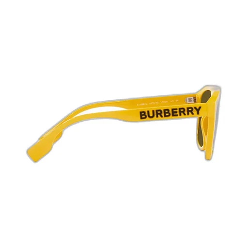 Rectangular Sunglasses