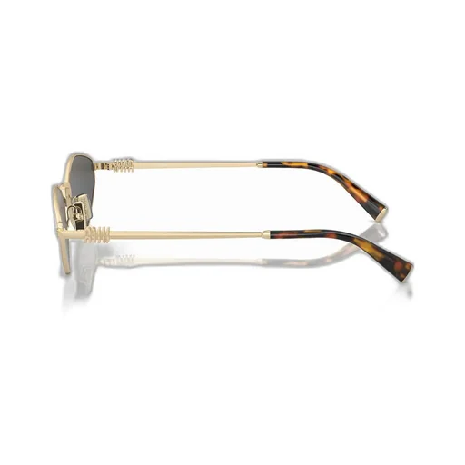 Miu Miu Eyewear Cat-Eye Sunglasses