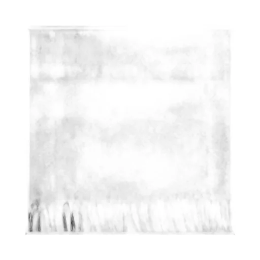 Burberry Checked Fringed-Edge Scarf