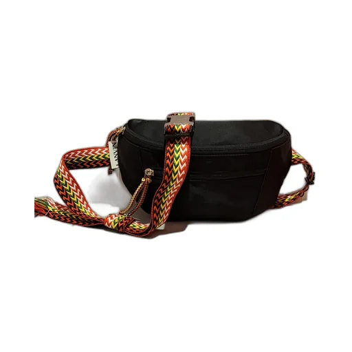 Lanvin Zigzag Embroidered Small Curb Belt Bag