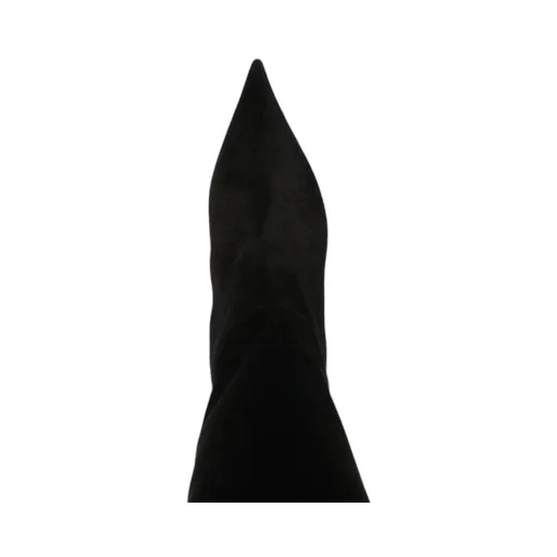 Casadei Elodie Pointed Toe Boots