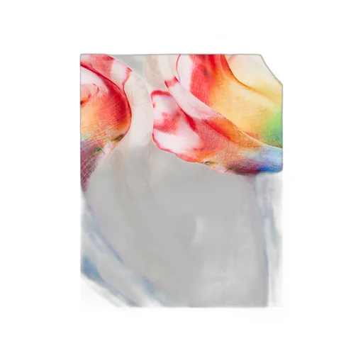 Alexander Mcqueen Solarised Garnet Rectangular-Shaped Scarf