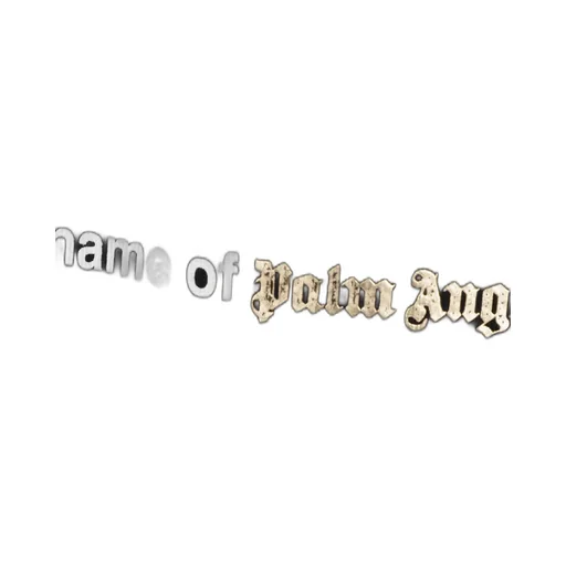 Palm Angels Photograph-Printed Crewneck Sweatshirt