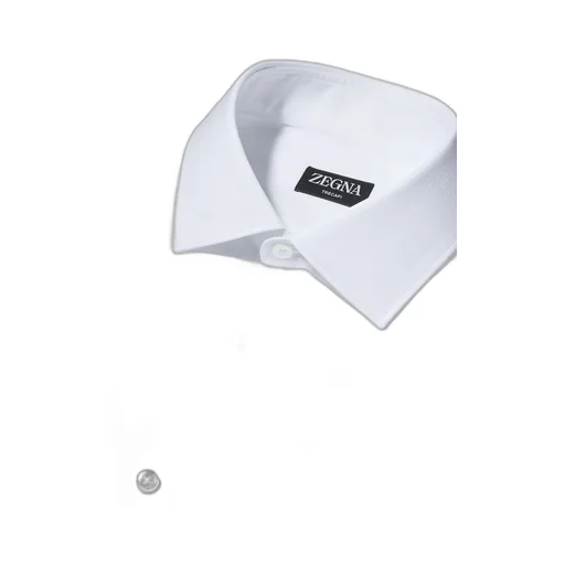 Zegna Pinstriped Long-Sleeved Shirt