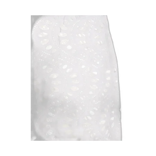 Lace Skirt