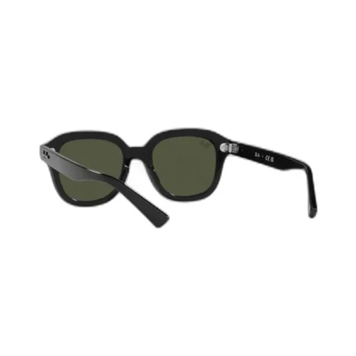 Ray-Ban Erik Square Frame Sunglasses