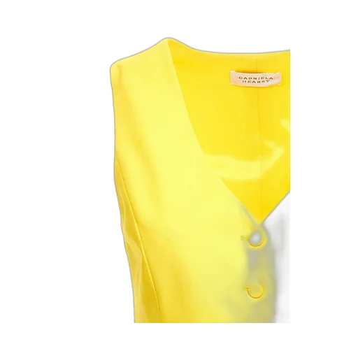 Logo Vest
