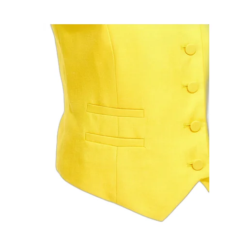 Logo Vest