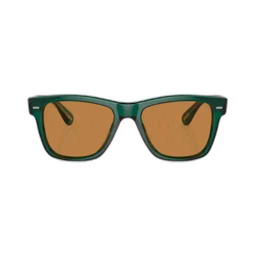 Wayfarer-Frame Tinted Sunglasses