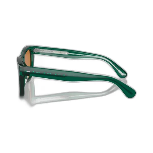 Wayfarer-Frame Tinted Sunglasses