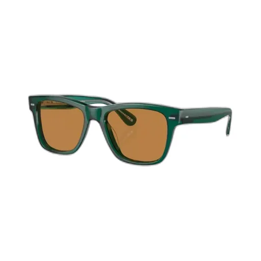 Wayfarer-Frame Tinted Sunglasses