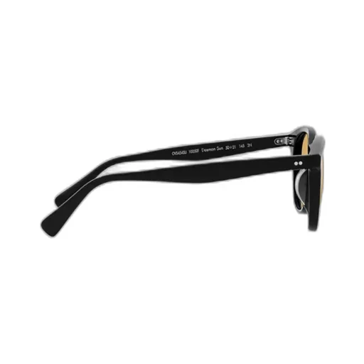 Desmon Round-Frame Sunglasses