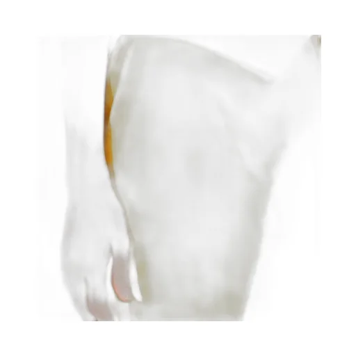 Front Pleated Casual Pants