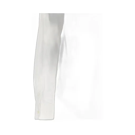 Ann Demeulemeester Betty Fitted Popeline Shirt