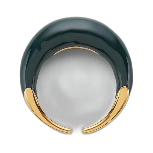 Spine Ring