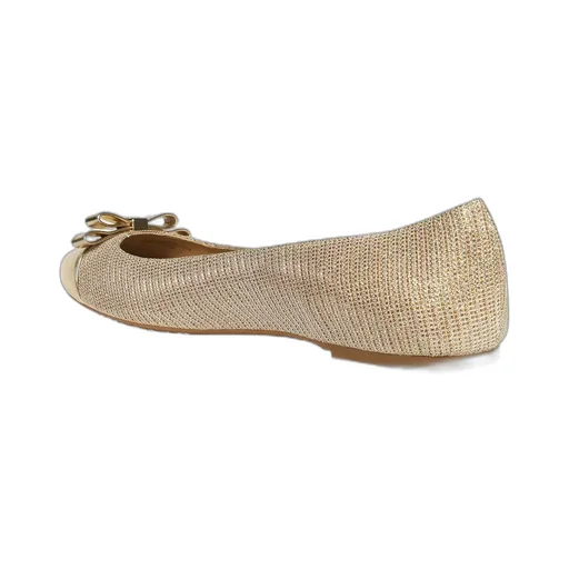 Andrea Chain-Mesh Ballerina Shoes