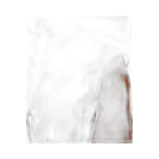 Cotton Trench Coat