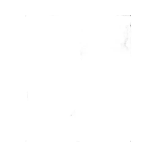 Short-Sleeved T-Shirt